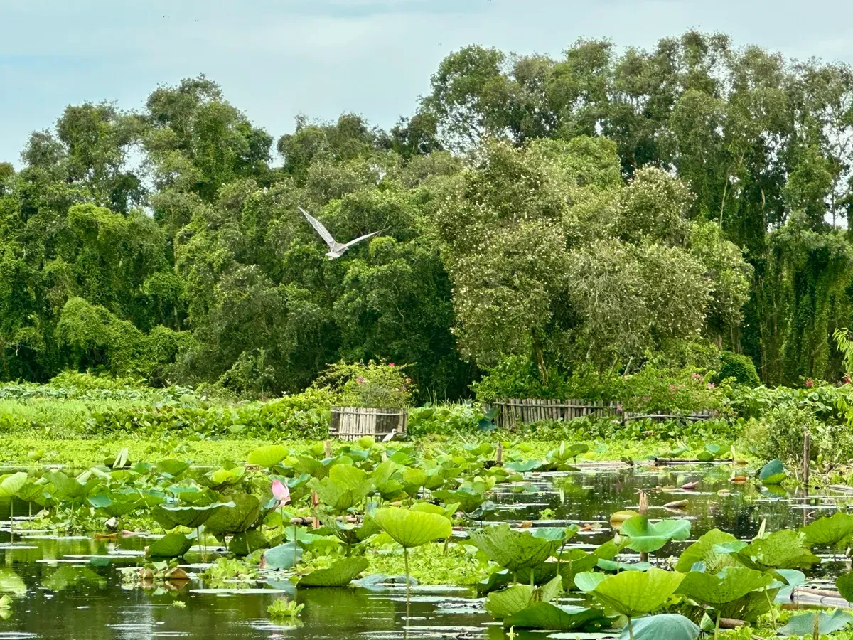 An Giang đặt mục tiêu đón 25 triệu lượt khách năm 2026 - Ảnh 2.