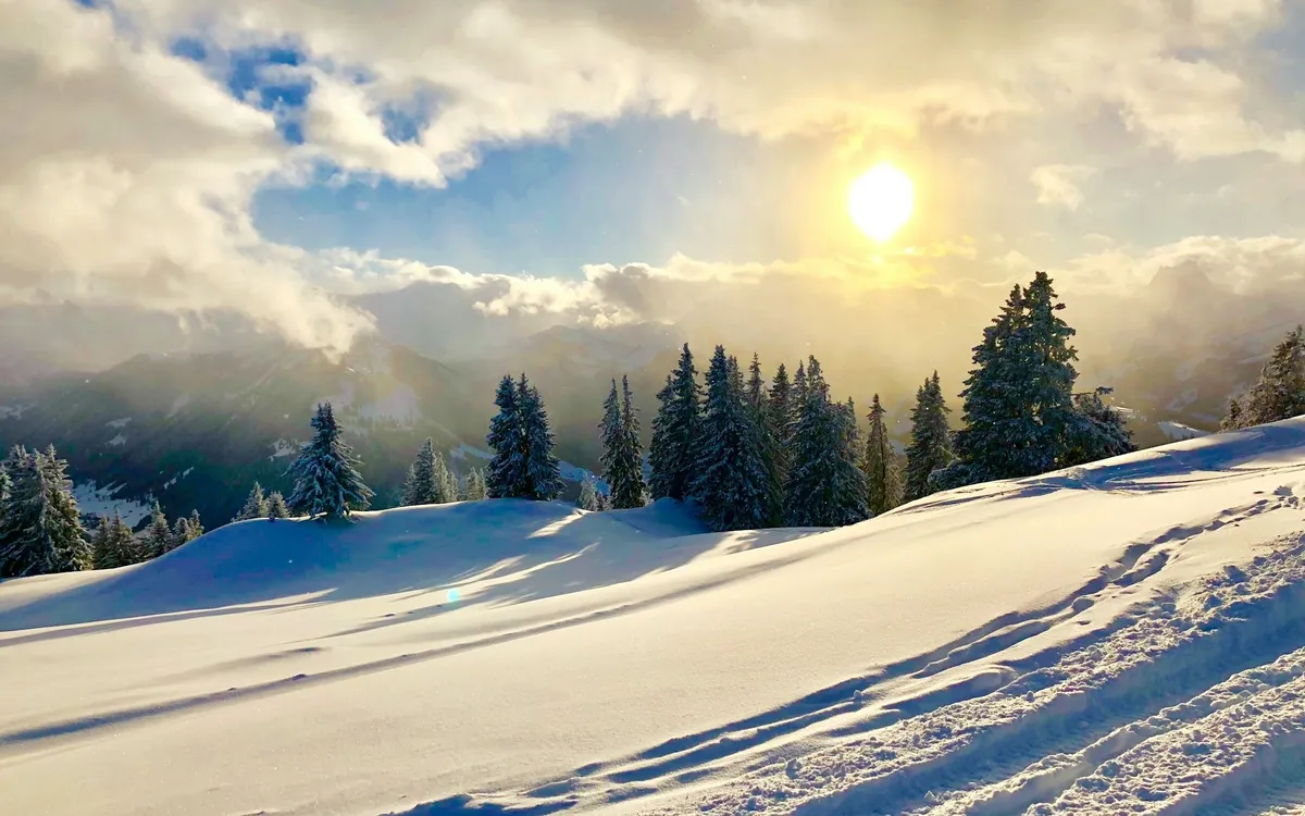 (Ảnh minh hoạ: Unsplash)