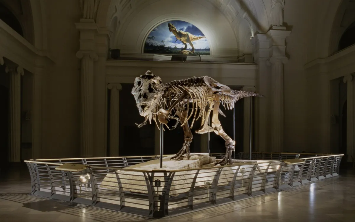 Một hóa thạch khủng long bạo chúa nổi tiếng (Ảnh: Getty Images)