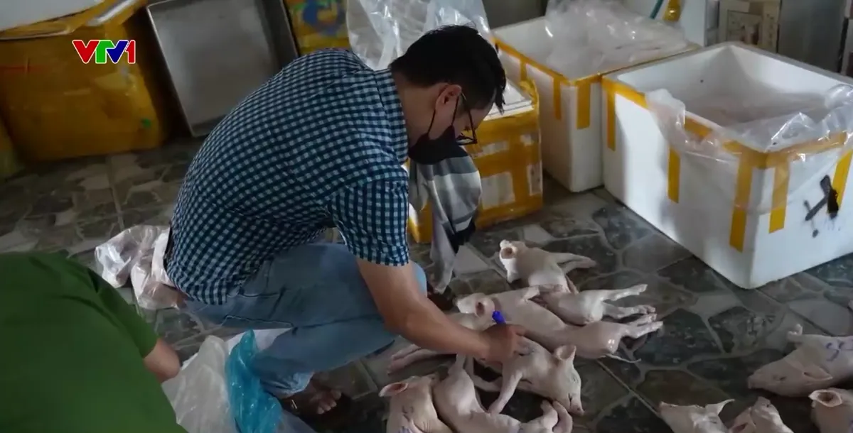 Khởi tố nhiều vụ giết mổ, ti&ecirc;u thụ lợn bệnh tại Quảng Ng&atilde;i - Ảnh 3.