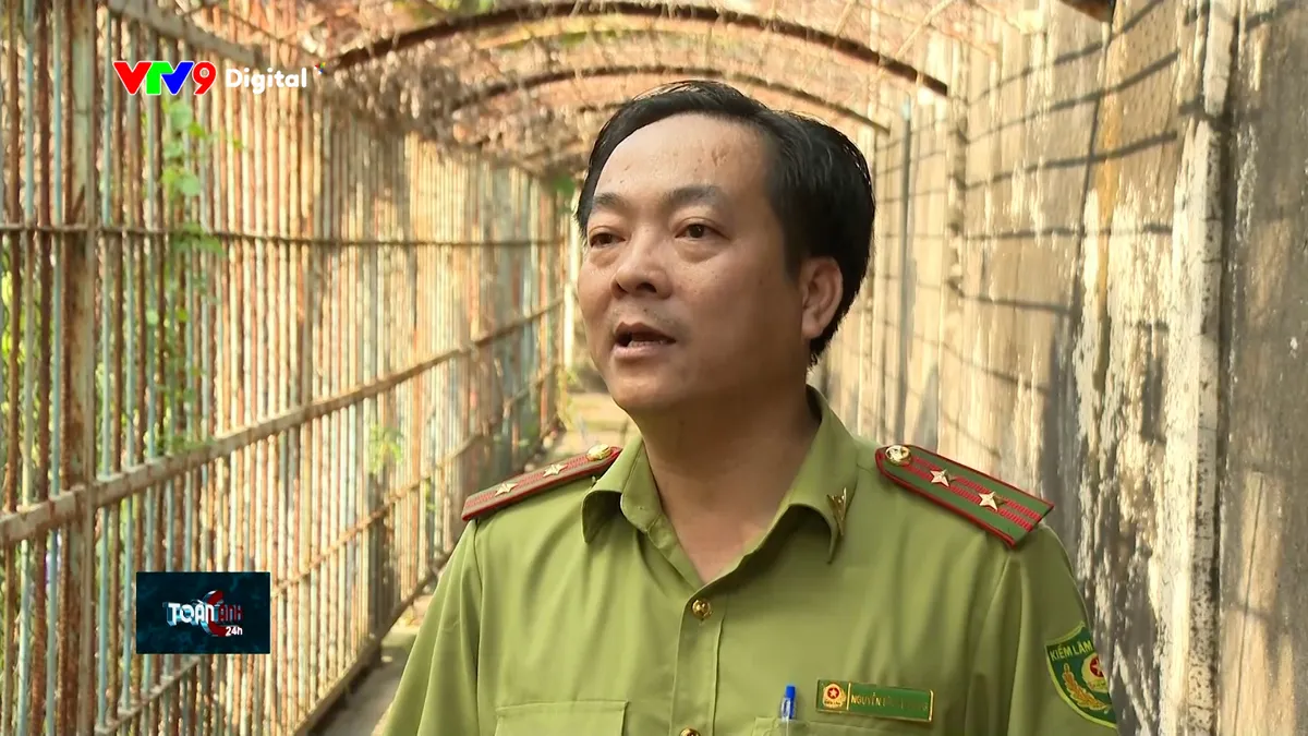 tc24h-1712-1 ng bình dương.jpg