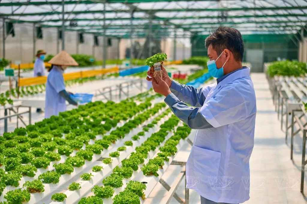 Nghị quyết 57 tạo hướng đi bền vững cho nông nghiệp xanh và kinh tế tuần hoàn - Ảnh 2.