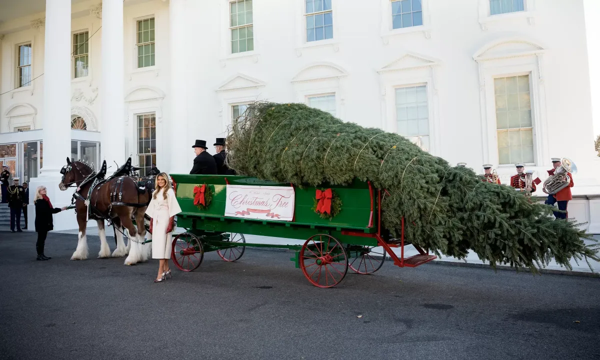 Nh&agrave; Trắng rực rỡ với chủ đề Gi&aacute;ng sinh "Nh&agrave; l&agrave; nơi tr&aacute;i tim thuộc về"- Ảnh 2.
