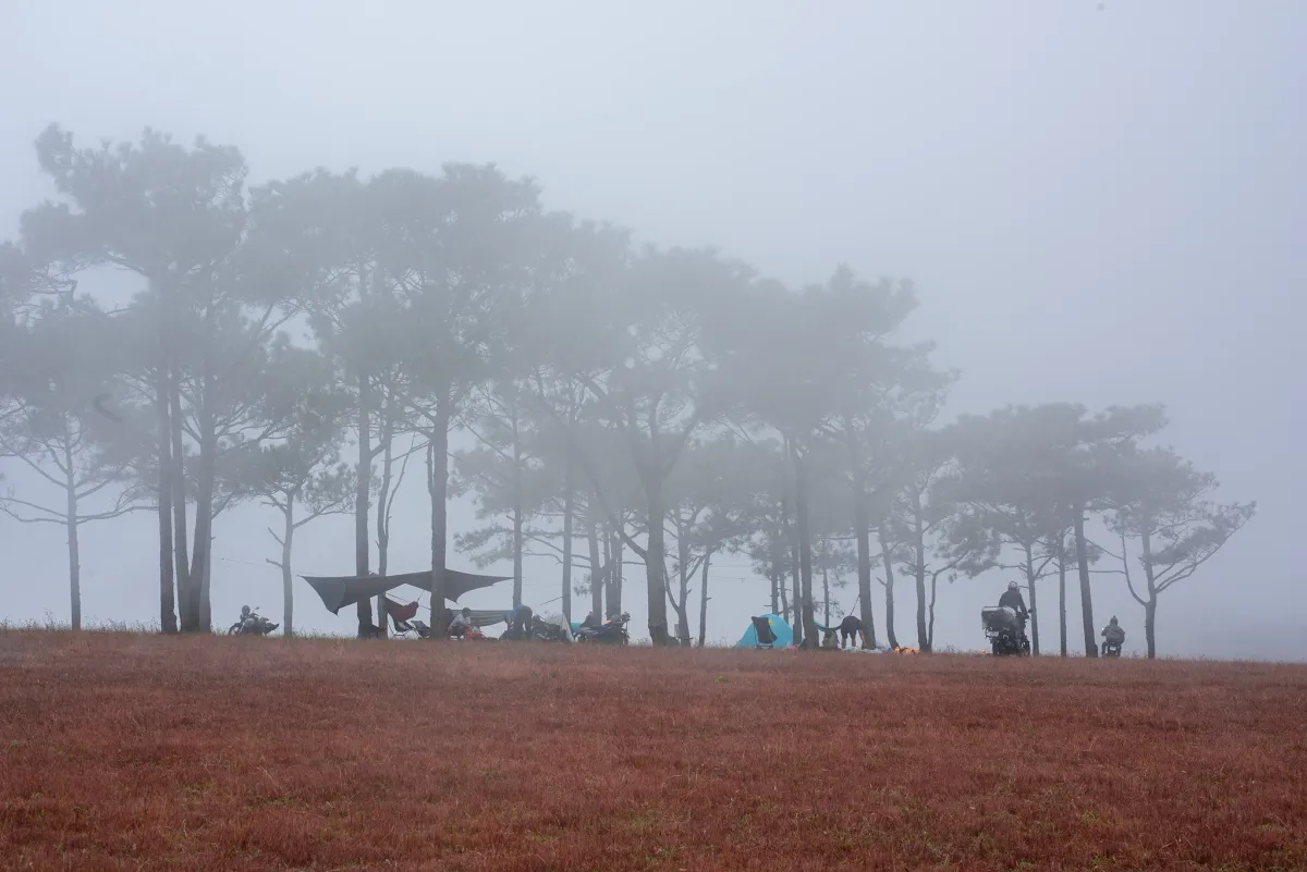 Cắm trại đ&oacute;n b&igrave;nh minh tr&ecirc;n thảo nguy&ecirc;n cỏ hồng Masara- Ảnh 1.