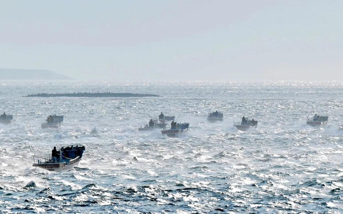 Tàu cá tiến vào khu vực thu hoạch tảo kombu ngoài khơi Nemuro, Hokkaido, Nhật Bản, ngày 2/6/2018 (Ảnh: The Asahi Shimbun/Getty Images)