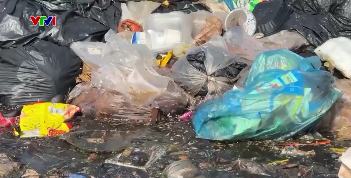 TP Cần Thơ: Nhiều b&atilde;i r&aacute;c qu&aacute; tải g&acirc;y &ocirc; nhiễm m&ocirc;i trường - Ảnh 2.