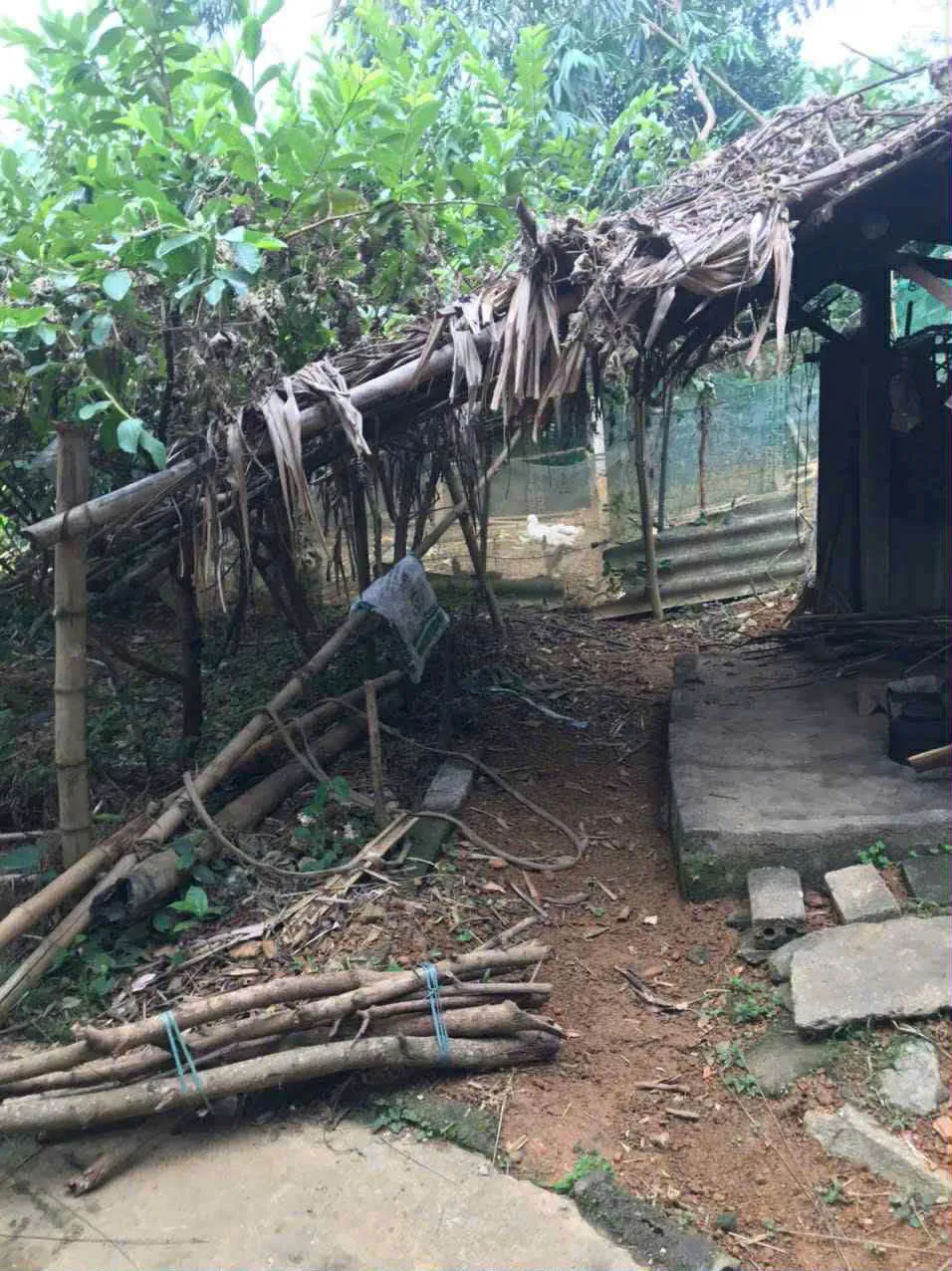 Nghẹn l&ograve;ng với ho&agrave;n cảnh ch&aacute;u b&eacute; 2 tuổi kh&ocirc;ng c&oacute; tiền phẫu thuật tim bẩm sinh - Ảnh 1.