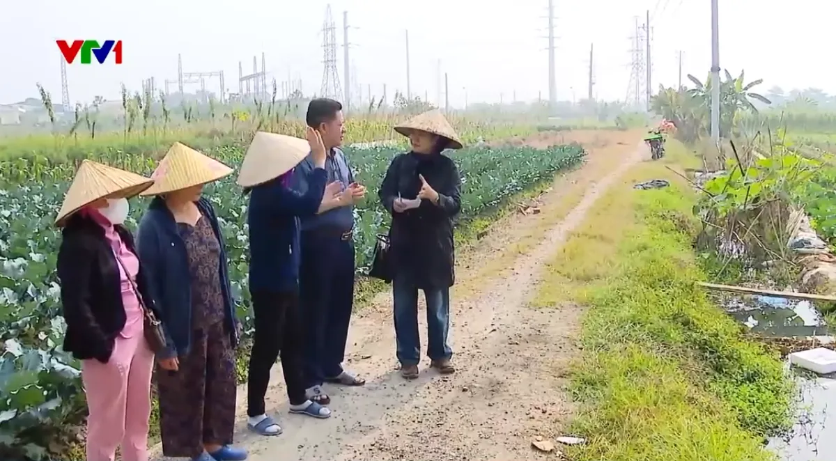 H&agrave; Nội: Vướng mắc trong ch&iacute;nh s&aacute;ch giao đất dịch vụ, nhiều hộ d&acirc;n 20 năm chưa được nhận đất - Ảnh 1.