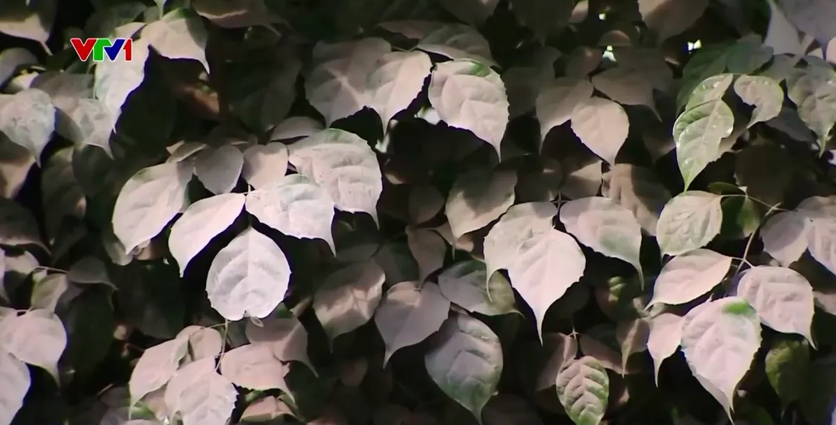 C&ocirc;ng tr&igrave;nh x&acirc;y dựng kh&ocirc;ng ph&eacute;p g&acirc;y &ocirc; nhiễm m&ocirc;i trường - Ảnh 3.