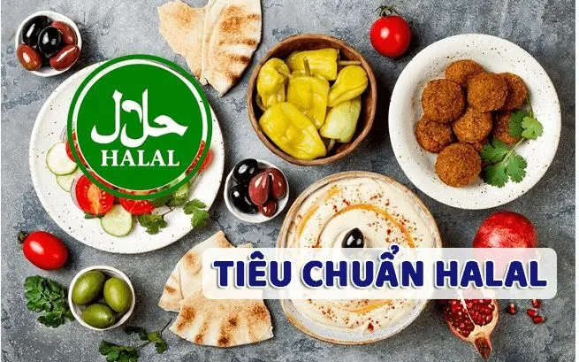 Thị trường Halal toàn cầu chiếm khoảng 25% dân số thế giới và được dự báo đạt quy mô 10.000 tỷ USD trước năm 2028. 