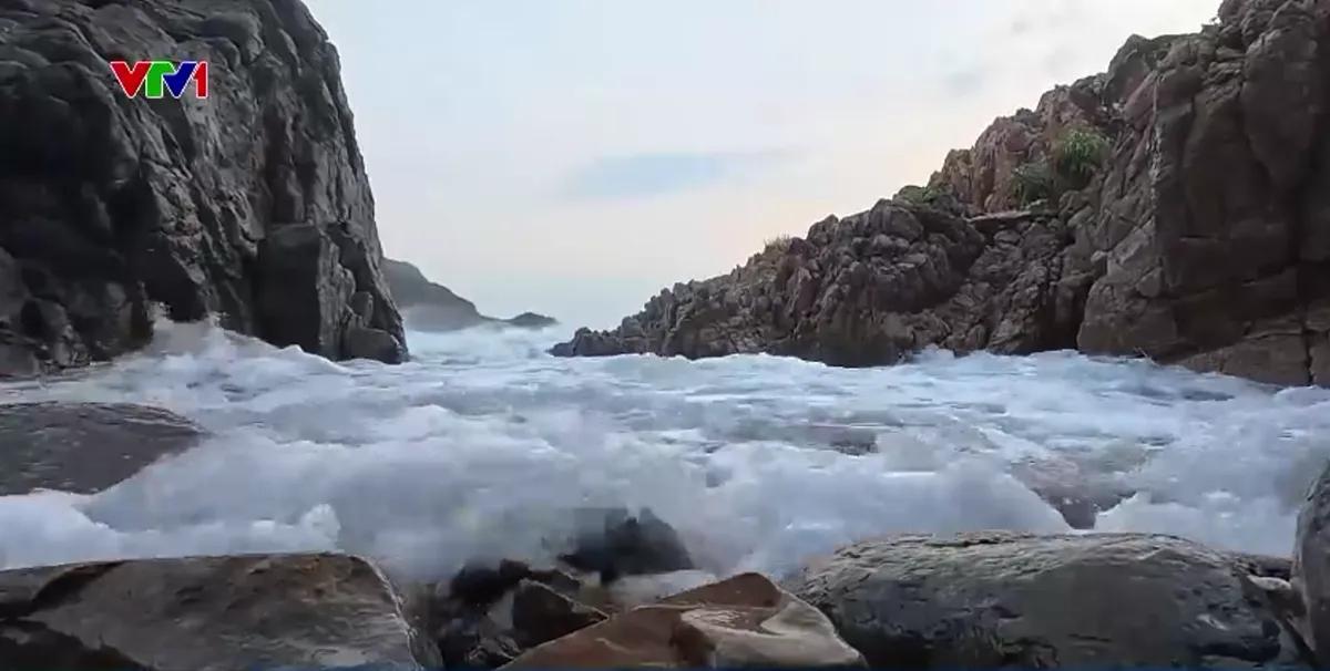 Giữ rừng, giữ biển giữa m&ugrave;a gi&oacute; chướng ở C&ocirc;n Đảo - Ảnh 2.