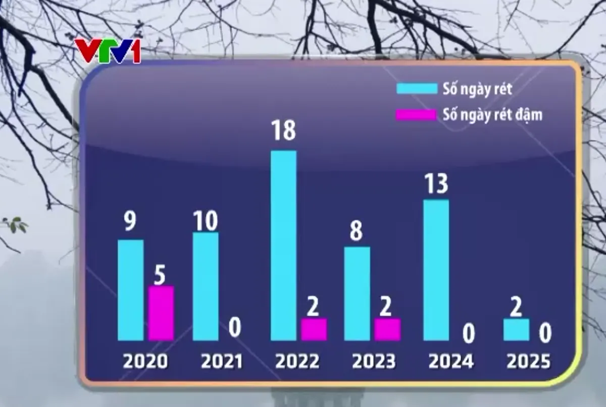 M&ugrave;a đ&ocirc;ng kh&aacute;c biệt: &Aacute;o ấm ế, đ&agrave;o Tết lo - Ảnh 1.