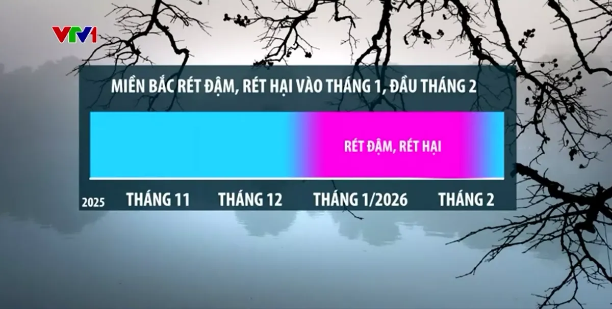 M&ugrave;a đ&ocirc;ng kh&aacute;c biệt: &Aacute;o ấm ế, đ&agrave;o Tết lo - Ảnh 2.