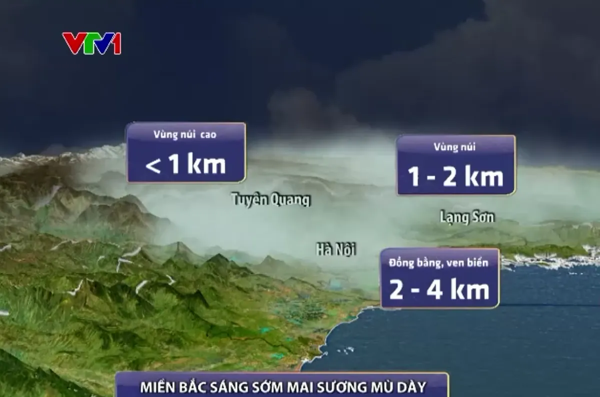 M&ugrave;a đ&ocirc;ng kh&aacute;c biệt: &Aacute;o ấm ế, đ&agrave;o Tết lo - Ảnh 3.