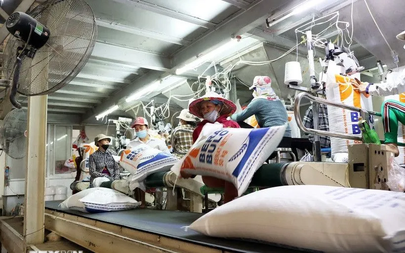  Giá gạo xuất khẩu tăng