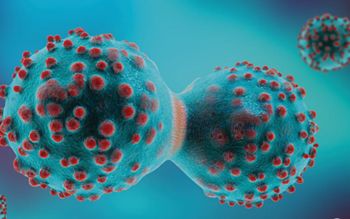 Hình ảnh mô tả sự phân chia của tế bào ung thư (Ảnh: iStock)