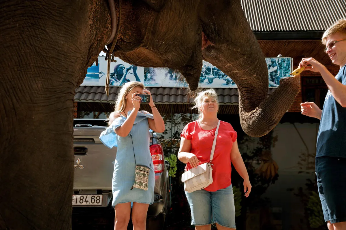 Đắk Lắk: T&aacute;i định vị du lịch trong kh&ocirc;ng gian thống nhất &ldquo;đại ng&agrave;n - biển xanh&rdquo;- Ảnh 1.