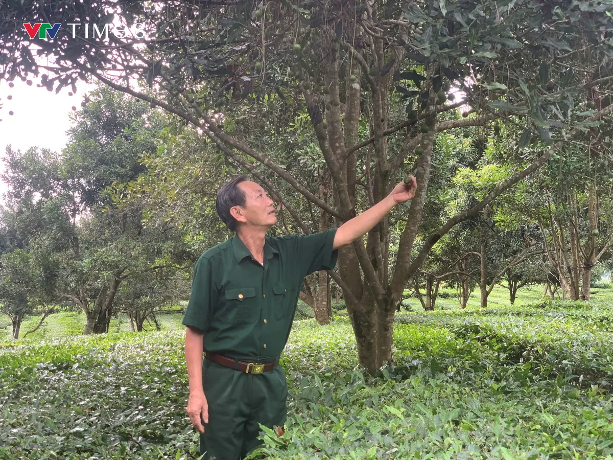 Lai Ch&acirc;u: Vẹn nguy&ecirc;n tinh thần xung phong giữa đời thường - Ảnh 1.