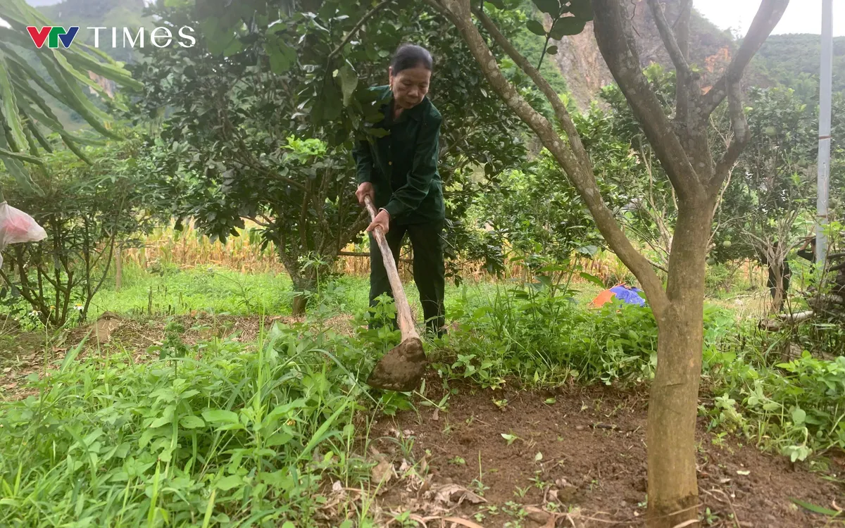 Những cựu thanh niên xung phong vẫn nỗ lực vượt khó giữa đời thường.