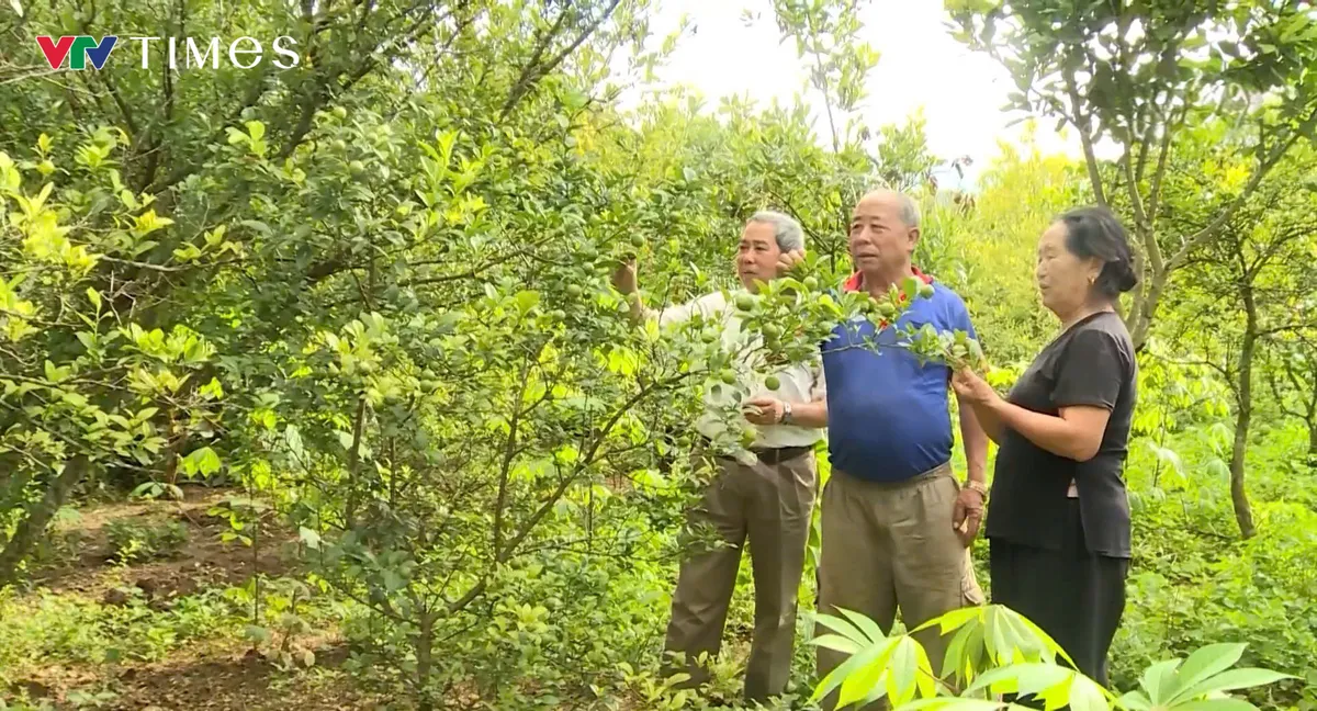 Lai Ch&acirc;u: Vẹn nguy&ecirc;n tinh thần xung phong giữa đời thường - Ảnh 4.
