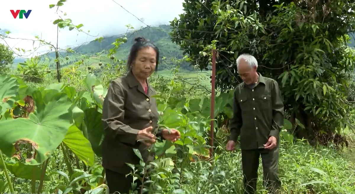 Lai Ch&acirc;u: Vẹn nguy&ecirc;n tinh thần xung phong giữa đời thường - Ảnh 3.