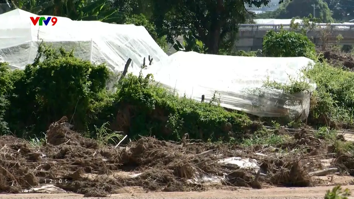 Sequence 20.00_18_31_15.Still071.jpg