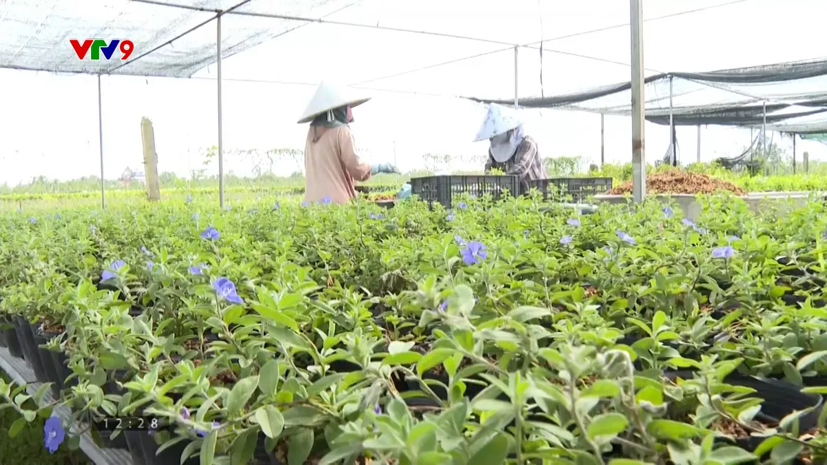 Sequence 20.00_41_39_15.Still097.jpg