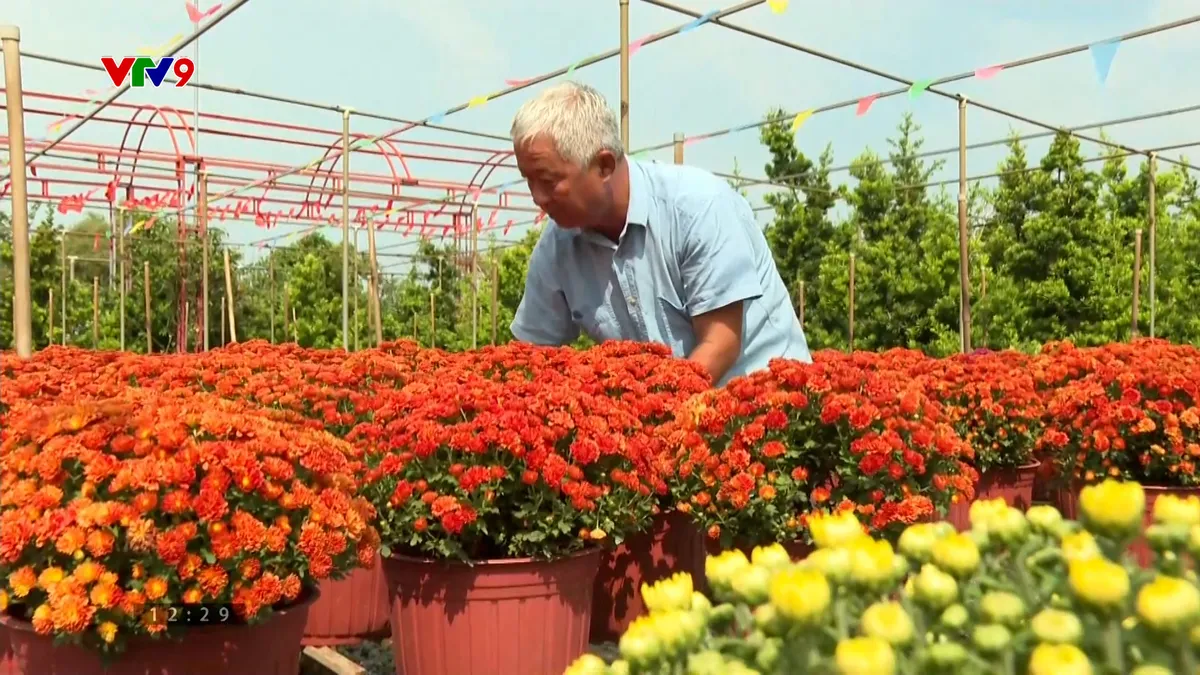 Ấn tượng phương Nam: Trăm năm làng hoa Sa Đéc