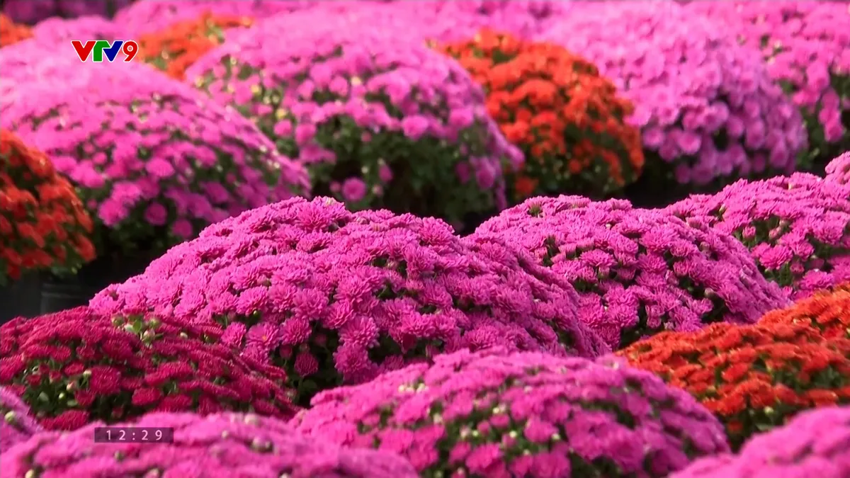 Sequence 20.00_42_36_14.Still102.jpg