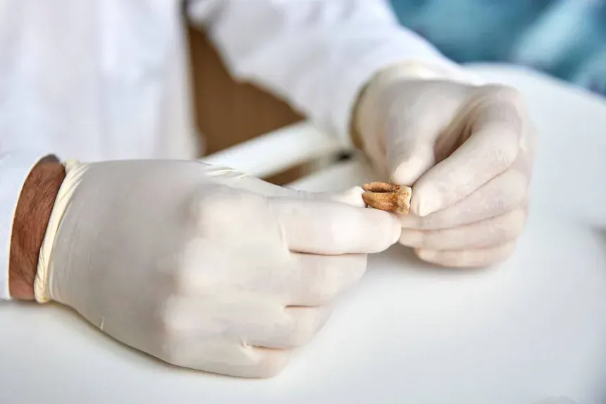 Những b&iacute; ẩn lịch sử được khoa học giải đ&aacute;p trong năm 2025- Ảnh 3.