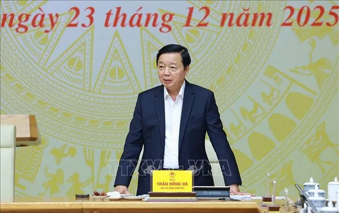 Xử lý dứt điểm các nhiệm vụ chống khai thác IUU - Ảnh 1.