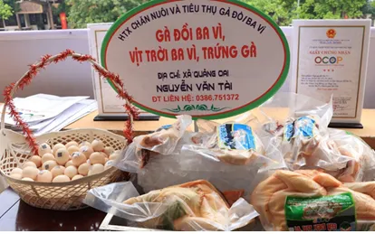 Sản phẩm có gắn mã QR – Xã Quảng Oai (Hà Nội) 