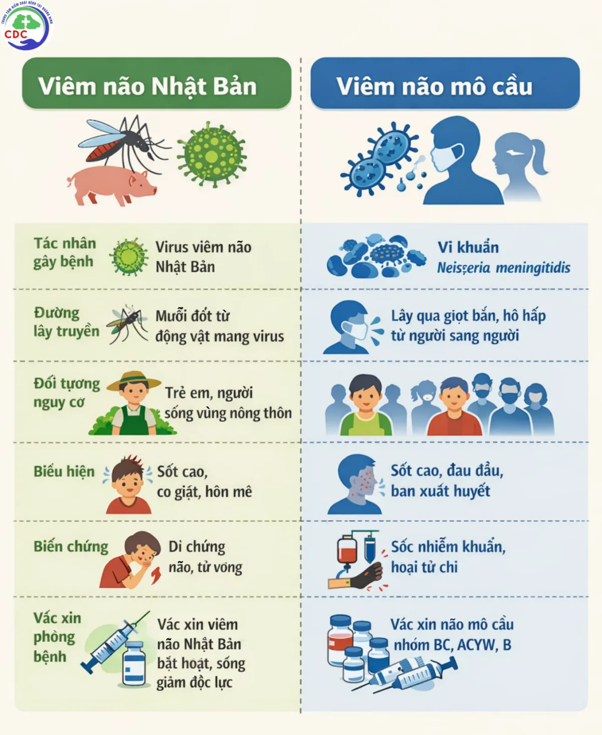 Ph&acirc;n biệt vi&ecirc;m n&atilde;o Nhật Bản v&agrave; vi&ecirc;m n&atilde;o m&ocirc; cầu để ti&ecirc;m ph&ograve;ng đ&uacute;ng- Ảnh 1.