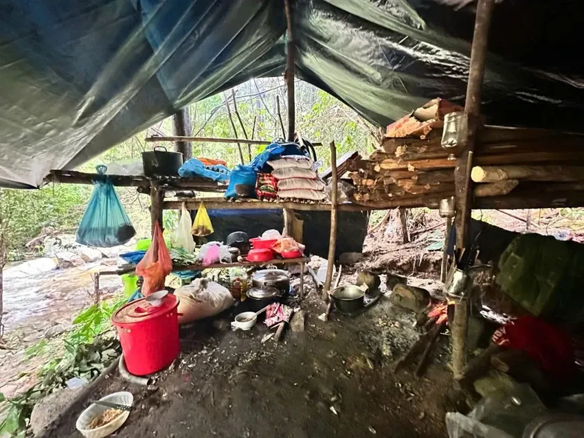 V&agrave;o rừng ở Đ&agrave; Nẵng dựng l&aacute;n trại, thăm d&ograve; để đ&agrave;o v&agrave;ng tr&aacute;i ph&eacute;p  - Ảnh 2.