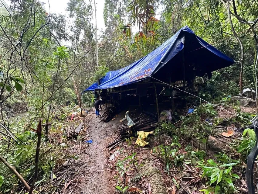 V&agrave;o rừng ở Đ&agrave; Nẵng dựng l&aacute;n trại, thăm d&ograve; để đ&agrave;o v&agrave;ng tr&aacute;i ph&eacute;p  - Ảnh 1.