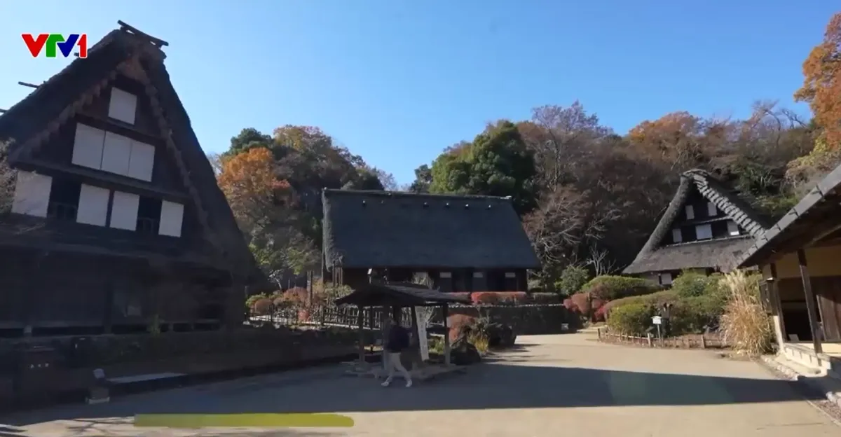 Gh&eacute; thăm c&ocirc;ng vi&ecirc;n bảo tồn nh&agrave; cổ tại Kawasaki- Ảnh 1.