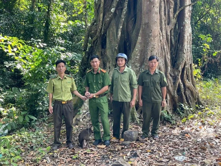 Đồng Nai: Người dân tự giác giao nộp khỉ cộc, tê tê quý hiếm để thả về rừng - Ảnh 1.