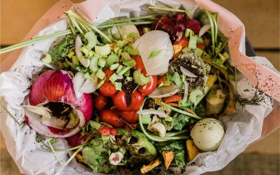 Ảnh minh họa: Canva