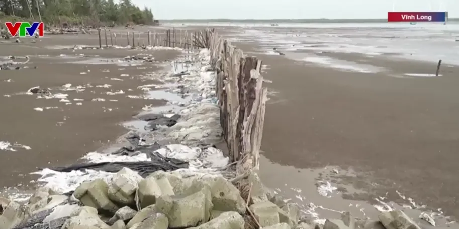 Bờ biển Vĩnh Long sạt lở nghi&ecirc;m trọng, h&agrave;ng ngh&igrave;n hộ d&acirc;n đối mặt nguy cơ mất đất, mất nh&agrave;- Ảnh 1.