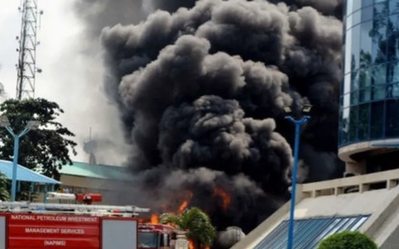 (Ảnh: GujaratSamachar)