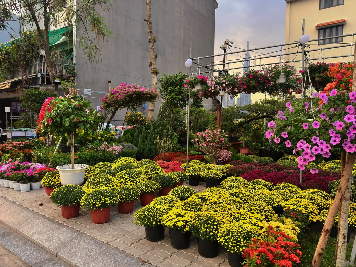 TP Hồ Ch&iacute; Minh: Hoa, kiểng Tết đ&atilde; về phố- Ảnh 1.