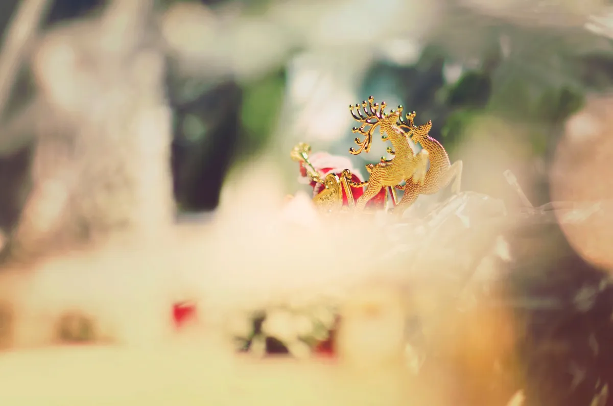 Đ&agrave; Nẵng rực rỡ sắc m&agrave;u Gi&aacute;ng sinh, s&ocirc;i động m&ugrave;a du lịch cuối năm- Ảnh 3.