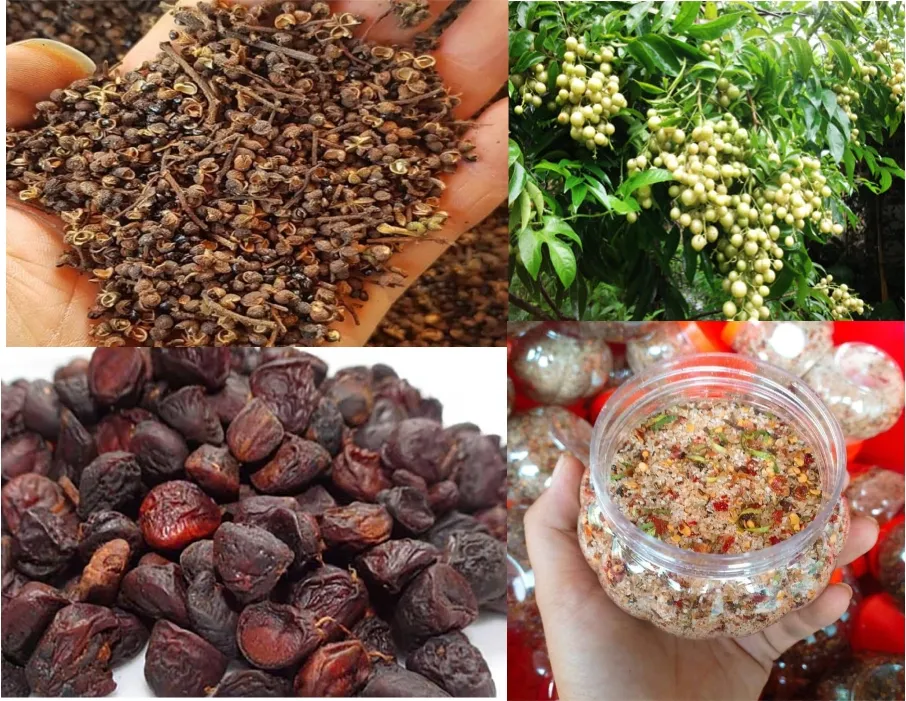 Giải m&atilde; sức mạnh của gia vị rừng v&agrave; 3 m&oacute;n ăn chinh phục du kh&aacute;ch- Ảnh 2.