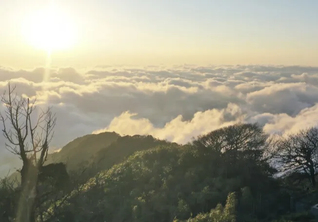 Giải m&atilde; sức mạnh của gia vị rừng v&agrave; 3 m&oacute;n ăn chinh phục du kh&aacute;ch- Ảnh 1.