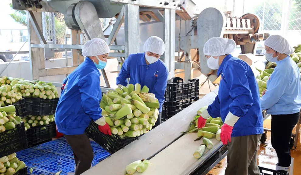 Ph&oacute; Chủ tịch Quốc hội: Coi n&ocirc;ng d&acirc;n l&agrave; đối t&aacute;c, chủ thể của ph&aacute;t triển - Ảnh 4.