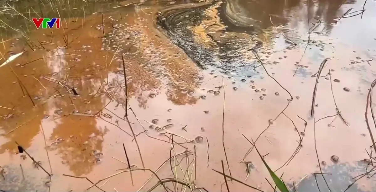 Khẩn trương xử l&yacute; &ocirc; nhiễm sau sự cố tr&agrave;n dầu ở Quảng Ng&atilde;i - Ảnh 1.