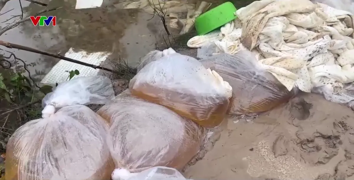 Khẩn trương xử l&yacute; &ocirc; nhiễm sau sự cố tr&agrave;n dầu ở Quảng Ng&atilde;i - Ảnh 2.