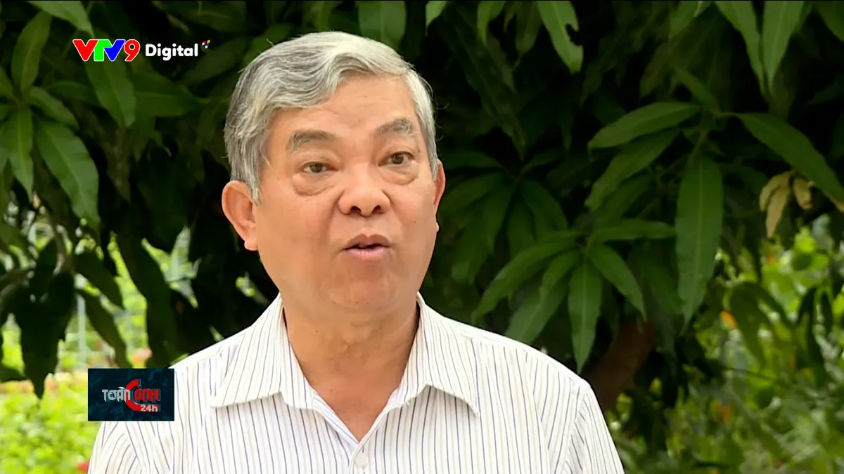 tc24h-2612-3 lê v hùng.jpg