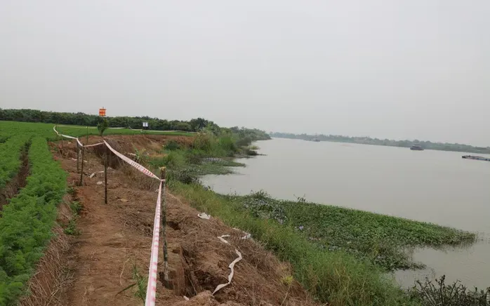 Vị trí sạt lở kè Nguyên Hòa, đê tả sông Luộc. Ảnh: Báo Hưng Yên.