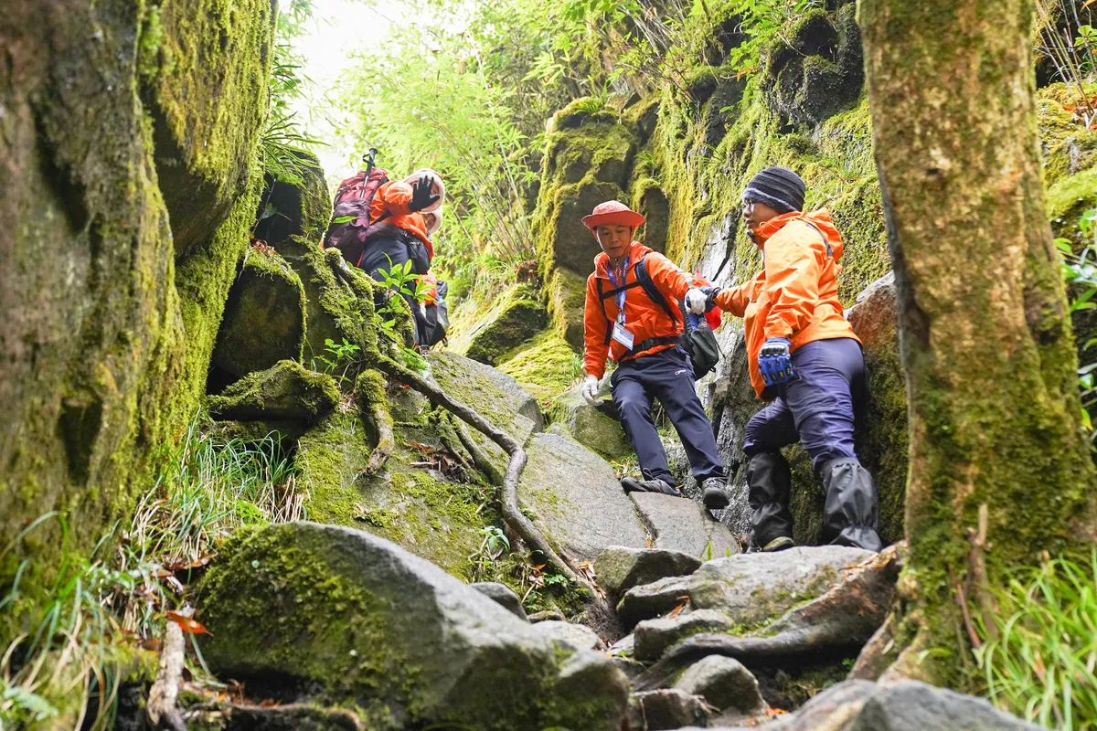 Chạm đỉnh Đông Dương: Hành trình leo núi Fansipan - Thách thức giới hạn và khát vọng chinh phục- Ảnh 2. Chạm đỉnh Đông Dương: Hành trình leo núi Fansipan - Thách thức giới hạn và khát vọng chinh phục- Ảnh 2.